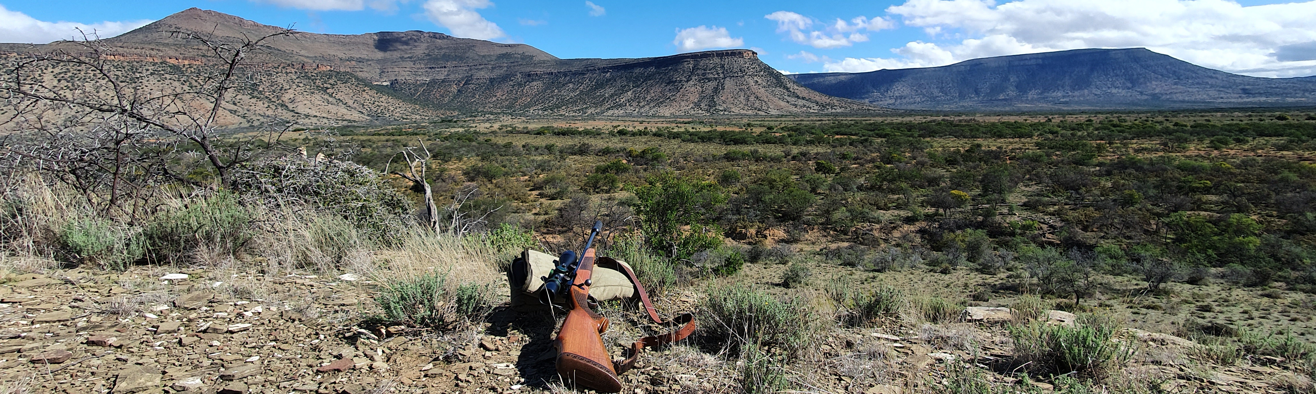 Picture of Rifle