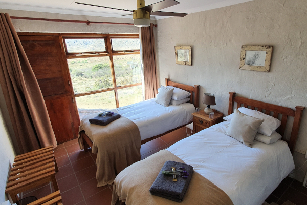 Picture of Room